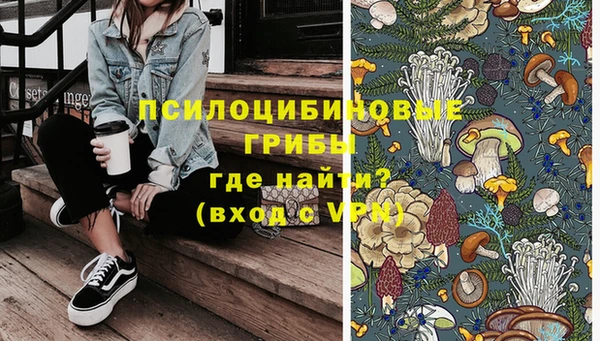 ПСИЛОЦИБИНОВЫЕ ГРИБЫ Абаза