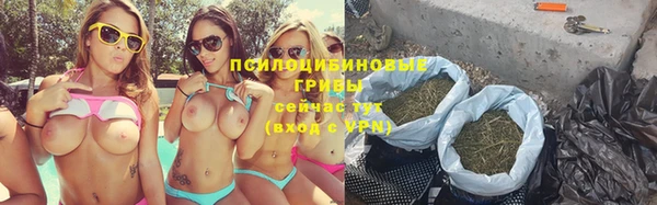 ПСИЛОЦИБИНОВЫЕ ГРИБЫ Абаза