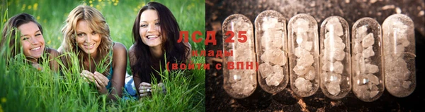эйфоретик Абинск