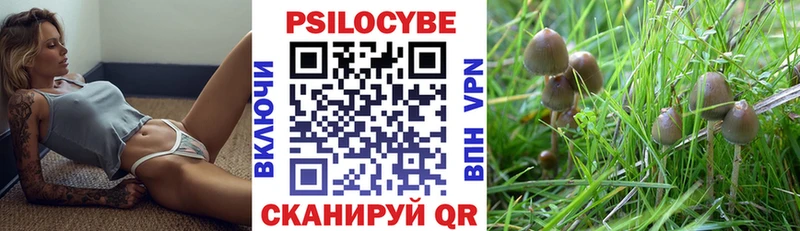 Псилоцибиновые грибы прущие грибы  mega tor  darknet как зайти  Чита 