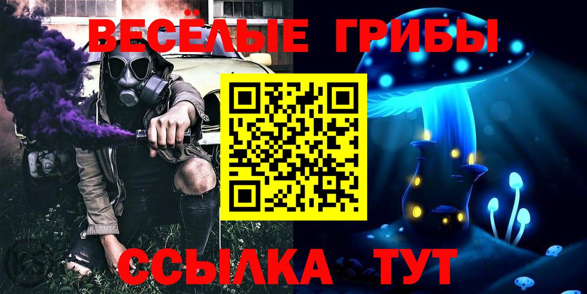 Псилоцибиновые грибы ЛСД  Вход с VPN  Галлюциногенные грибы мицелий  купить наркотик  Чита 