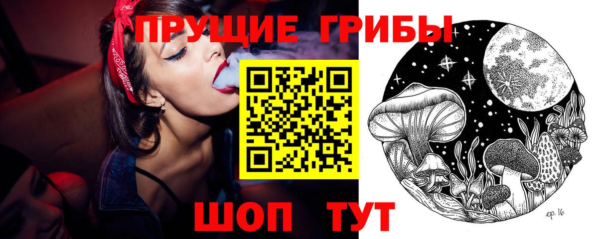 Псилоцибиновые грибы Psilocybe Чита